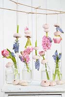 Spring flower display with grape hyacinths and tulips