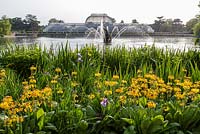 The Lake and fountain at the Palm House in Kew Gardens, London, with Primula bulleyana in foreground