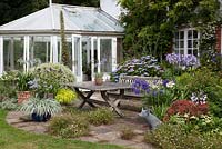 Table and chairs with conservatory in cottage garden. Agapanthus 'Silver Moon', Agapanthus 'Pretty Sandy' Agapanthus, 'Pretty Heidi', Agapanthus 'White Heaven', Agapanthus 'Megans Mauve', Agapanthus 'Hoyland Blue'