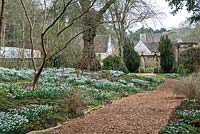 Colesbourne Park, Gloucestershire showing Galanthus nivalis and path leading to gate - February