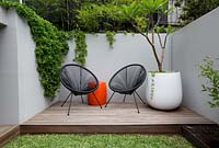 A timber deck with two black Acapulco chairs, an orange plastic drum table a round white plastic pot with a Plumeria, Frangipani in it in front of a grey painted cement rendered retaining wall. With succulents spilling over the wall and a screen of Slender weavers bamboo.