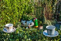 Driftwood garden - teacups on hedge