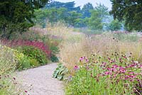 A path through the Floral Labyrinth at Trentham Gardens, Staffordshire, designed by Piet Oudolf. Photographed in summer planting includes Stipa gigantea, Echinacea purpurea, Knautia macedonica and Persicaria