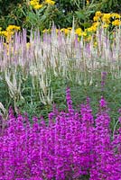 A detail of planting in the Floral Labyrinth at Trentham Gardens, Staffordshire, designed by Piet Oudolf. Photographed in summer it features Veronicastrums and Lythrums