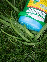 Gel weed killer to eradicate specific weeds -
 allium in lawn