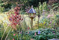 Little Ash Garden, Fenny Bridge, Devon. Autumn garden. Bird table and feeding station