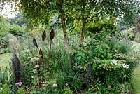 Little Ash Garden, Fenny Bridge, Devon. Autumn garden.  Metal garden sculpture beneath Silver Birch tree amongst shrubs