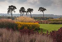 Views to the Utkinton Hills from The Prairie Garden with Stipa gigantea, Sedum and Rudbeckia - October, Abbeywood Gardens, Cheshire