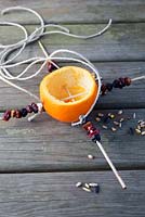 Tying string onto the wooden skewers for  making citrus bird feeders
