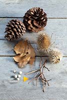 Equipment needed for making Pinecone Owls