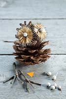 Equipment needed for making Pinecone Owl