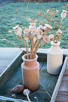 Frosty seedheads in small pottery bottles - Poppies and Coriander
