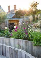 Wooden raised flower bed with late summer mixed border behind in sunset, Jo Thompson garden Design, Ticehurst, East Sussex 