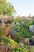 Pub garden with late summer border and willow fence, Jo Thompson garden Design, Ticehurst, East Sussex 