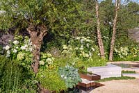 Copper water feature, planting of Hydrangea 'Annabelle', Hosta 'Elegans' and Hakonechloa macra. Vestra Wealth: Encore - A Music Lover's Garden at RHS Hampton Court Palace Flower Show 2015. Designed by Paul Martin