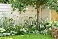 Prunus 'Tai Haku' tree, Brunnera macrophylla 'Jack Frost', Astilbe x arendsii 'Bridal Veil', Digitalis purpurea 'Albiflora', Hosta 'Fire and Ice', Ammi majus, Hydrangea macrophylla 'Nymphe' along white painted timber wall with birdboxes and insect hotels - Living Landscapes 'City Twitchers' garden, RHS Hampton Court Flower Show 2015. Designed by Sarah Keyser. CouCou Design