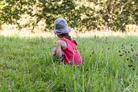 Little Girl picking flowers in a meadow, France, Summer