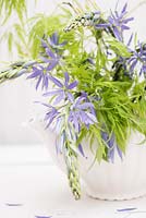 Spring flower arrangement with Camassia and Acer palmatum in white porcelain teapot.