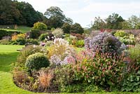 Border of Pennisetum 'Shogun' Aster and  Persicaria amplexicaulis 'Jo and Guido' September. Holehird Gardens, Cumbria