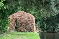 Fagus sylvatica trained into the shape of a house - Forde Abbey, Somerset