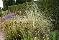 Border with Cortaderia selloana 'Albolineata', pampas grass, late summer, RHS Wisley