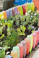 Recycled painted plastic bottles, creating a border to a raised bed vegetable garden, Team AK's Grand Day Out, RHS Malvern Spring Festival 2017 - Design: Ashton Keynes Church of England Primary School