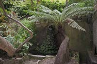 Grotto fountain water feature with ancient tree fern with buttress root - The Quinta da Regaleira, Sintra, Portugal