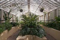Tender foliage plants growing inside a large greenhouse - March, Pena Palace, Sintra, Portugal