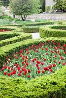 The Mount Vernon Garden. Tulips planted in enclosures of hedges of Buxus sempervirens. The American Museum, Bath. May