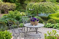 Circular stone patio with chairs and table with pot of blue petunias. Beyond, a bed is planted with weeping birch, yew balls, acer and amelanchier standards.
