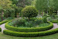 Two circles of box hedging, separated by a gravel path, enclose a circular bed planted with aquilegia, iris, centaurea, euphorbia, allium and standard laurel.