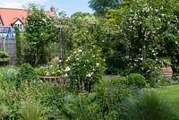 Rose pergola with Rosa 'Felicite Perpetue', 'New Dawn', 'Coral Dawn' and 'Madame Alfred Carriere'. Seen over bed of alchemilla, bistort,  sisyrinchium and white Rosa 'Macmillan Nurse'.