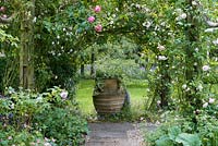 Rose pergola with Rosa 'Felicite Perpetue', 'New Dawn' and 'Coral Dawn', framing view of terracotta urn.