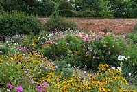 The Walled Garden at Kelmarsh Hall planted with colourful late summer borders. Planting includes Rudbeckia hirta, Dahlia 'Preference', Dahlia 'Admiral Rawlings', Verbena bonariensis and Cosmos.