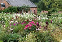 A pink and white late summer border planted with Dahlia 'She Devil', 'Jan Lennon', 'Gerrie Hoek', 'Admiral Rawlings', Echinacea purpurea, Amaranthus and Cosmos.