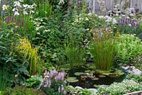 A small wildlife pond planted with rushes and waterlilies. Marginal planting of irises, grasses, hosta and ice plant.