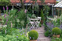 Table is shaded by apple tree, foxgloves and compost bin to the left, a green house to the right. Approached by pebble path edged in box balls, catmint and hardy geranium.
