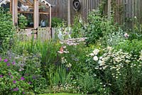 A greenhouse is tucked away in a sunny corner, behind a herbaceous border of Geranium 'Max Frei', Allium, Rosa 'Tranquility', Achillea 'Wonderful Wampee' and Anthemis 'E.C. Buxton.