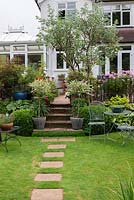 Stepping stones inset in lawn, leading to potted standard willows and box balls by steps ascending to terrace. On right, evergreen Pineapple Broom.
