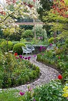 A walled town garden with curved pebble path leading to a circular patio seating area. Alongside, mixed borders are planted with tulips, box and forget-me-nots.