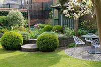 A walled town garden with a circular patio seating area, raised mixed borders with box, hebe and tulips, and a painted wooden gazebo.