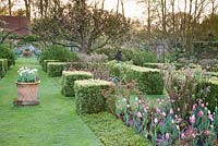 Formal grass pathway in walled garden with mixed pink Tulipa, Myosotis 'Rosylva' and clipped hedges with decorative terracotta container and sculpture Garden: Pashley Manor, Sussex