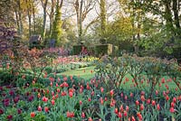 Colourful display of mixed Tulips including Tulipa 'Ballerina', Tulipa 'Lasting Love' and Tulipa 'West Point'. Garden: Pashley Manor, Sussex