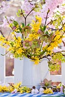 Helleborus, Forsythia and Acer branches displayed in jug.