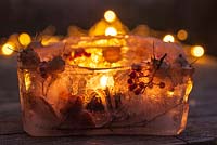 Ice lantern made with berries and seedheads holding a tea light - January, France