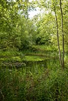 Festival International des Jardins 2017, Domaine de Chaumont sur Loire, France - unplanted ex-garden area, used as wildlife domain with pond