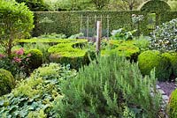 Vegetable and herb garden. Box hedging and topiary, rosemary, Alchemilla mollis. Dina Deferme garden