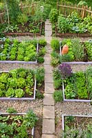 Vegetable and herb garden with raised beds and paving leading through.