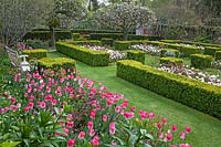 The Walled Garden with Tulipa 'Innuendo' - Pashley Manor Gardens, Kent, UK