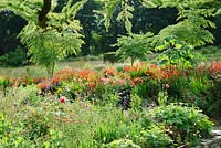 A rich mix of herbaceous perennials, shrubs and trees in raised beds including sanguisorbas, poppies, achilleas and eryngiums in the foreground with stronger colours beyond including heleniums, Crocosmia 'Lucifer', and orange Lilium lancifolium with large leaves of Paulownia tomentosa and Aralia echinocaulis rising above the fray.